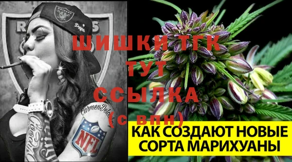 гидра Армянск