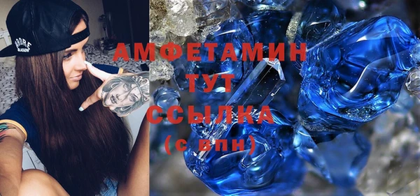 стаф Аркадак