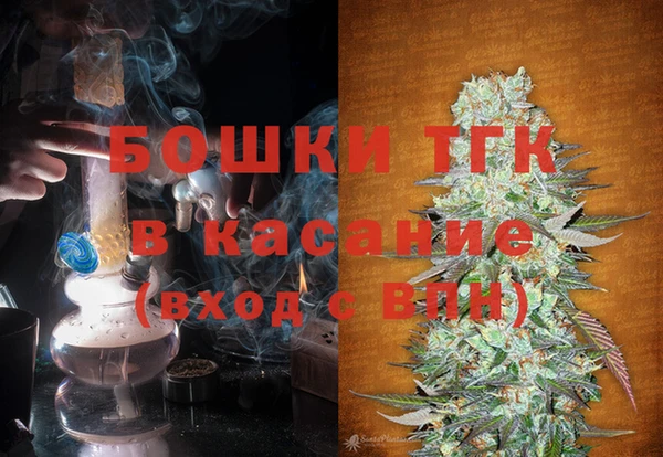 гашик Балахна