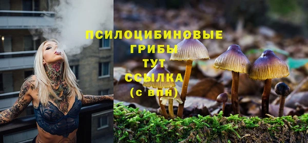 хмурый Балабаново
