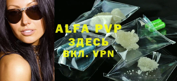 стаф Аркадак