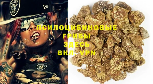 стаф Аркадак