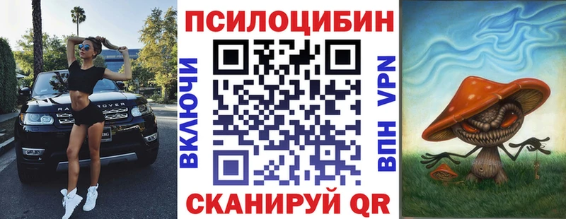 купить наркоту  Окуловка  Псилоцибиновые грибы Psilocybine cubensis 